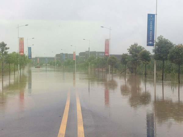 這兩天的暴雨過后，眉山好多地方都遭水淹了哦！